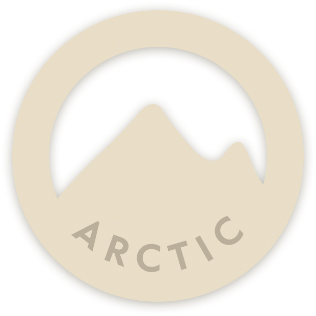 Arctic Software
